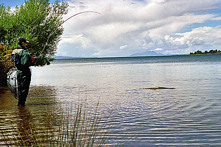 Lake Taupo