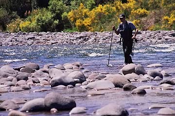 Tongariro River